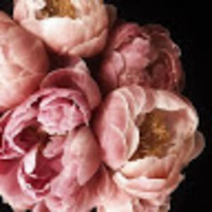 Meet your Posher, Dotty